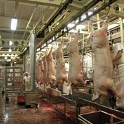 Продаю Автоматы и Линии в Саранске  Саранск
