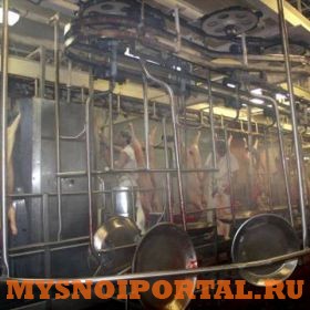 Продаю Автоматы и Линии в Саранске Саранск - изображение 1