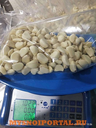 Чеснок свежий очищенный вак упак 1 кг Челябинск - изображение 1