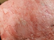 Индейка ( филе бедра .филе грудки, голень, чип, шейка, крыло, кожа и др) доставка из г.Екатеринбург