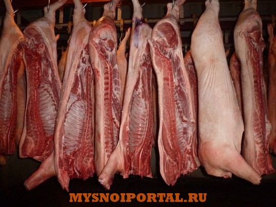 Свинина оптом, 1ая категория Казань - изображение 1