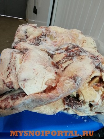 Продаю Блочная говядина ГОСТ, ТУ, зам, в Ярцево Ярцево - изображение 1