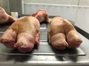 Свиные ноги Шахты