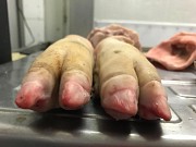 Свиные ноги Шахты