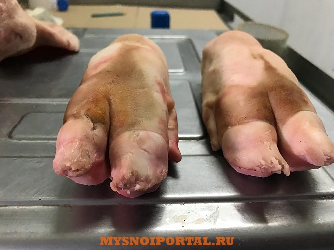 Свиные ноги Шахты - изображение 1
