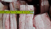 Продаем сало свиное 4+ Минск