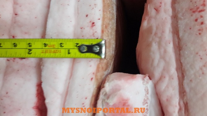 Продаем сало свиное 4+ Минск - изображение 1