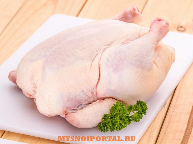 Тушка ЦБ Гост Великий Новгород - изображение 1