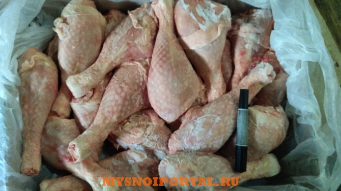 Филе грудки, бедра, голень, фарш, гузки индейки и т.д Санкт-Петербург - изображение 1