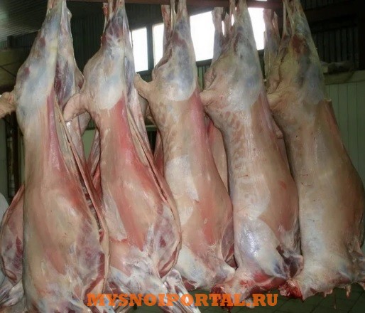 Говядина, баранина, мясо птицы, куриная разделка оптом от 1, 5 тонны Уфа - изображение 1