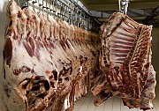 Говядина, баранина, мясо птицы, куриная разделка оптом от 1, 5 тонны Уфа