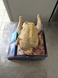 Мясо домашних кур бройлеров Петушки