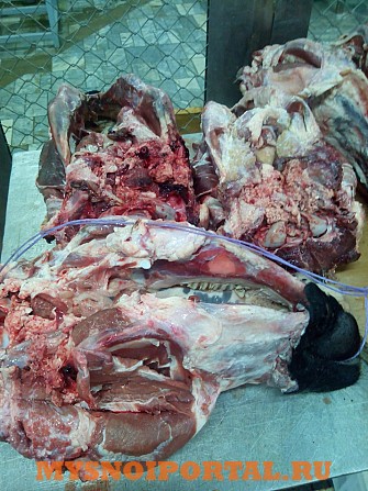 Головы говяжьи дорого в Уфе Уфа - изображение 1