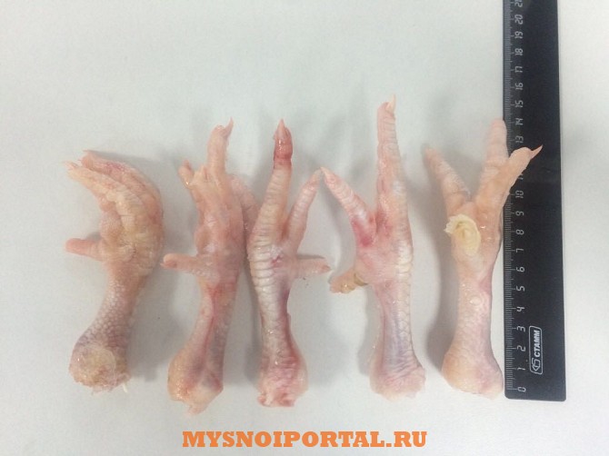 Лапы цб Халяль Самара - изображение 1