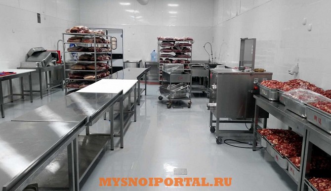 Возьму в Аренду мясоперерабатывающий цех Санкт-Петербург - изображение 1