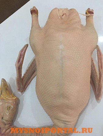 Продажа: Тушки гусиные "Линдовская" ТУ, Охл/Зам, в Москве Москва - изображение 1