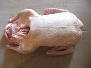 Продажа: Тушка утки  ГОСТ, ТУ,  зам, в Барнауле  доставка из г.Барнаул