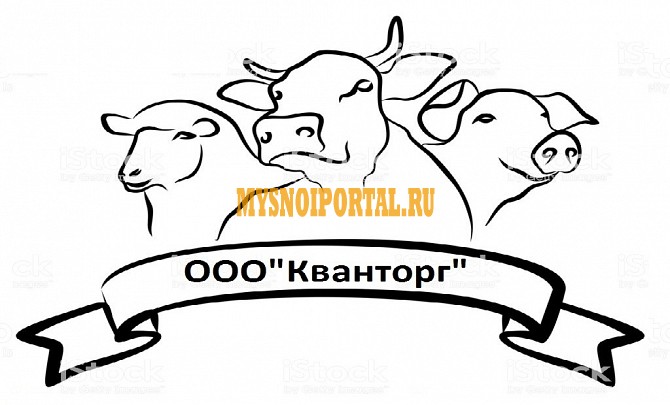 Куплю: Говяжьи Свиные Бараньи субпродукты Воронеж - изображение 1