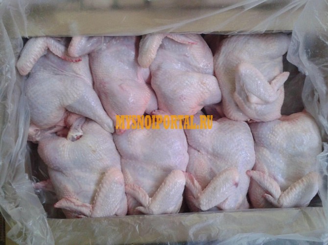 Тушка Б/ц зам 1сорт Санкт-Петербург - изображение 1