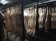 Свинина полутуши доставка из г.Тюмень