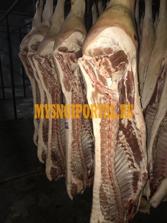 Свинина полутуши Тюмень - изображение 1