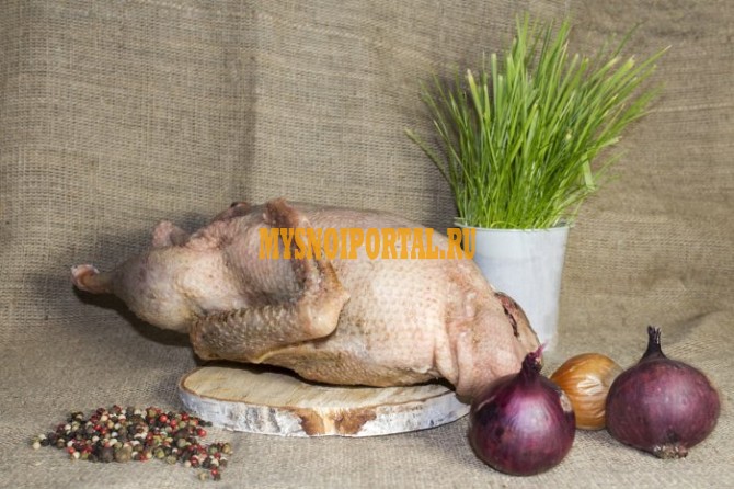 Тушки гуся - эко продукция Кологрив - изображение 1