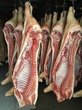 Свинина охл. и разделка ГОСТ доставка из г.Москва