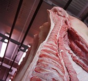 Свинина охл. и разделка ГОСТ доставка из г.Москва