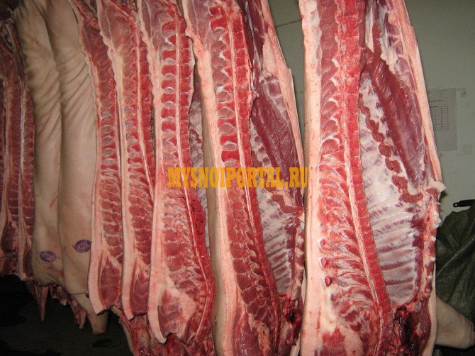 Свинина охл. и разделка ГОСТ Москва - изображение 1