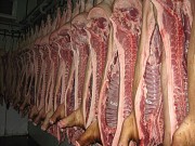 Мясо оптом ГОСТ доставка из г.Москва