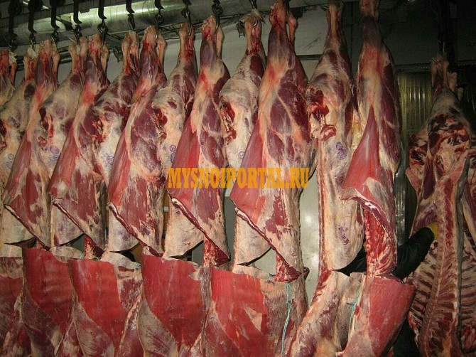 Мясо оптом ГОСТ Москва - изображение 1