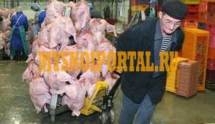 Реализуем мясо Индейки в охл/зам виде от производителя со склада в Пензе Пенза - изображение 1