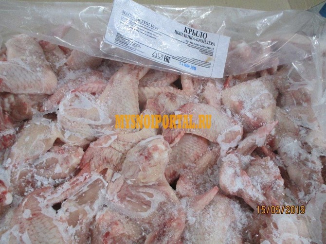 Крыло 3 фаланги Москва - изображение 1