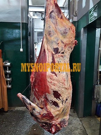 Полутуши Говяжьи коров ГОСТ, охл, 315 руб. в Ижевске Ижевск - изображение 1