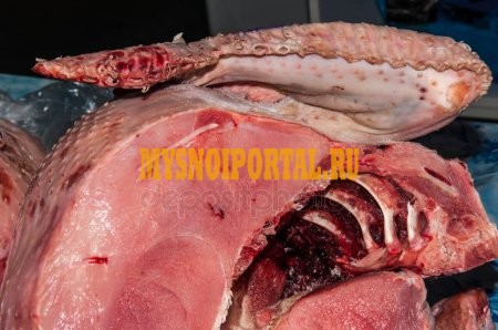 Реализуем мясо Индейки в охл/зам виде от производителя со склада в Пензе Пенза - изображение 1