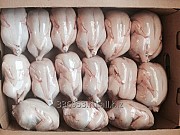 Корнишоны (тушка цыпленка) 3-х калибров охл/зам доставка из г.Москва