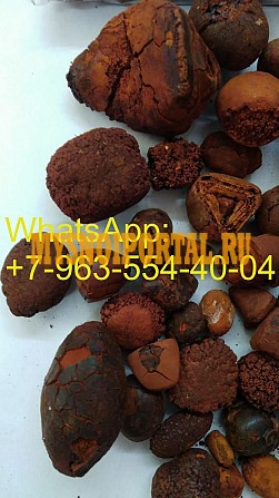 Желчные камни КРС Москва - изображение 1