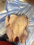 Мясосырье ИНДЕЙКИ, УТКИ, КУРИЦЫ, КРОЛИКА, Свинины, ГОВЯДИНЫ доставка из г.Москва