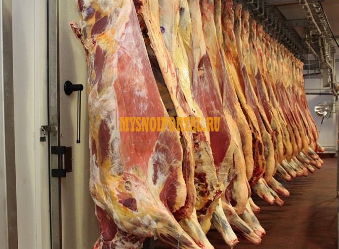 Мясокомбинат в Белоруссии Санкт-Петербург - изображение 1