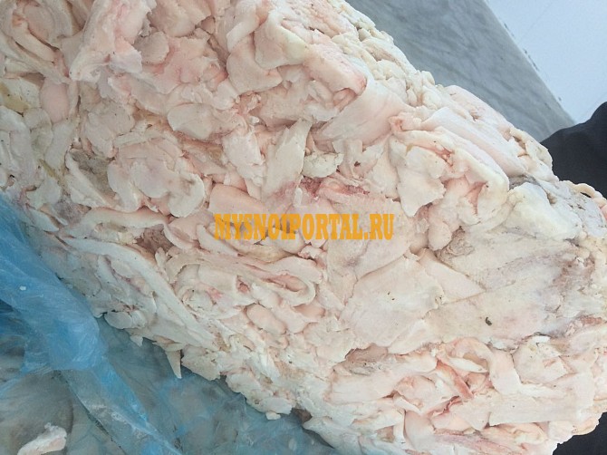 Продаю Шпик свиной Хребтовый зам в Ростове-на-Дону Ростов-на-Дону - изображение 1