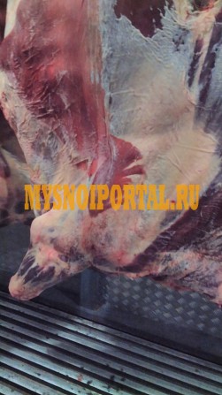 Мясо, субпродукты, крупнокусковая продукция, корма для животных, полуфабрикаты Батайск - изображение 1