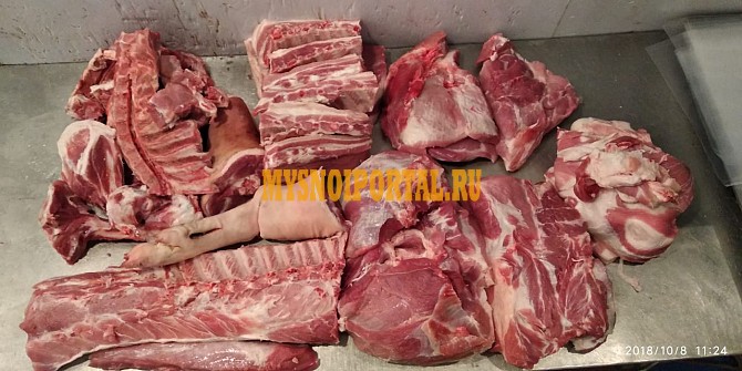 Куплю Туши свиные в Перми Пермь - изображение 1