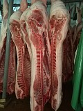 Продаю Туши свиные Охл/Зам, категория - I (беконная), II (мясная – молодняк) в Набережных Челнах  доставка из г.Набережные Челны