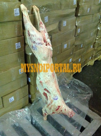 Продается баранина Барнаул - изображение 1