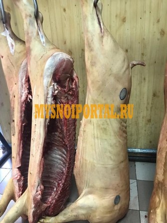 Свинина в полутушах Челябинск - изображение 1