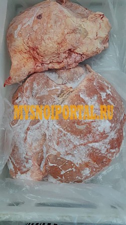 Вымя говяжье (от 20кг) Ростов-на-Дону - изображение 1