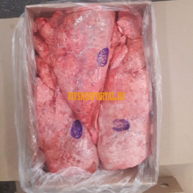 Легкое говяжье (от 20 кг) Ростов-на-Дону - изображение 1