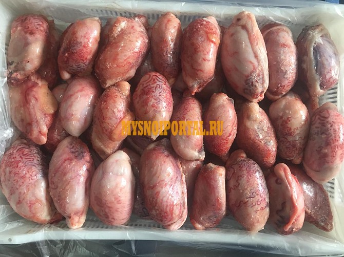 Семенники говяжьи (от 20 кг) Ростов-на-Дону - изображение 1