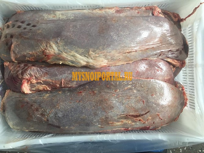 Селезенка говяжья (от 20 кг) Ростов-на-Дону - изображение 1