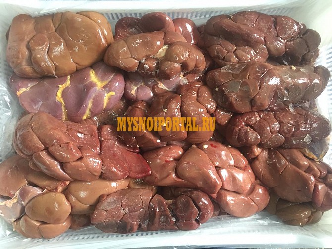 Почки говяжьи (от 20 кг) Ростов-на-Дону - изображение 1